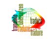 Custom-built webinars with synchronous translation