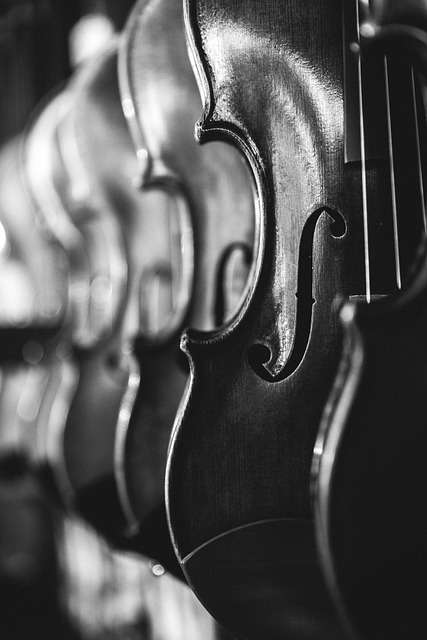 Q events cello 1 Event management
