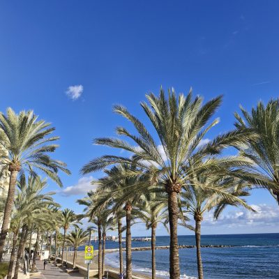 russian interpreter in marbella